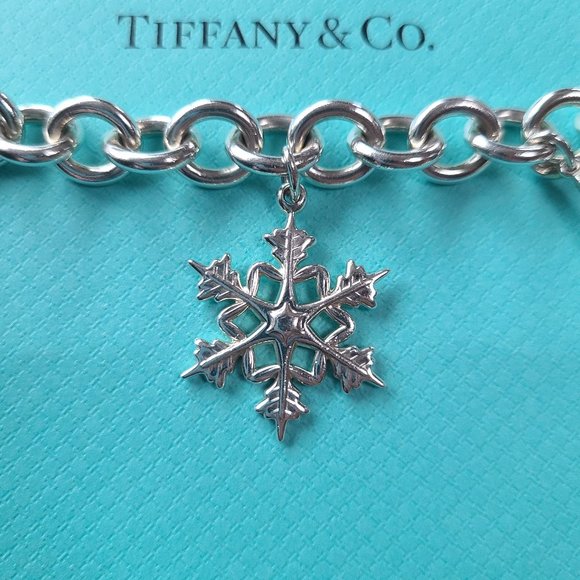 Tiffany's & Co Toggle Charm Bracelet - Picture 5 of 16